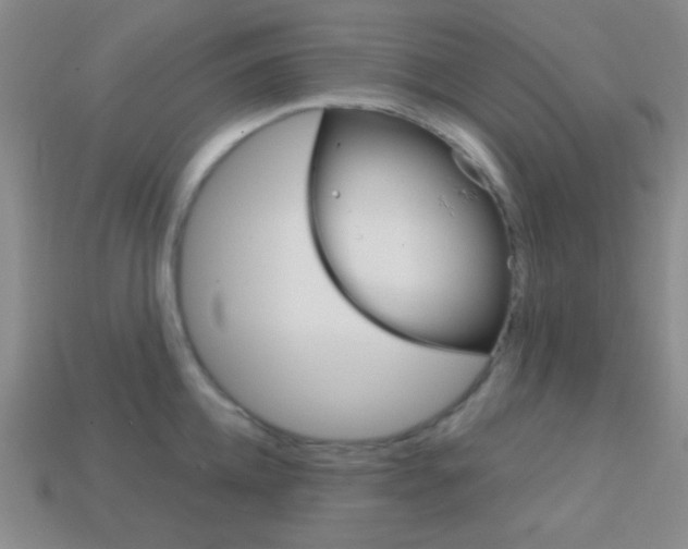 X0000114200952200910091046