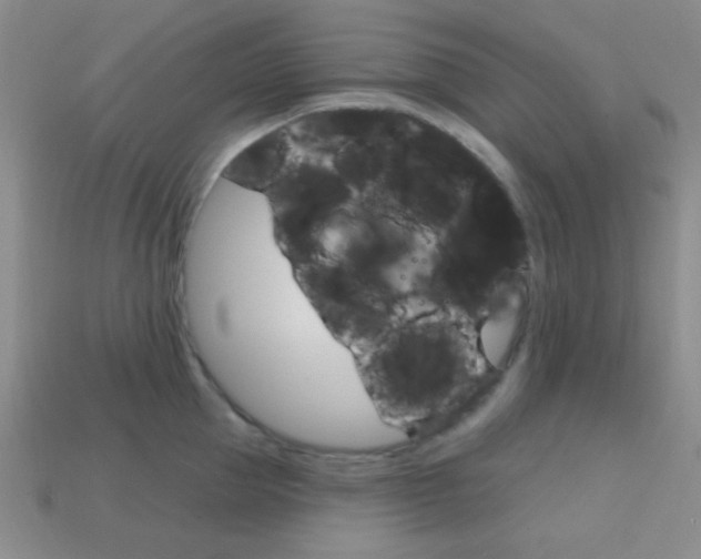 X0000114200953200910091046