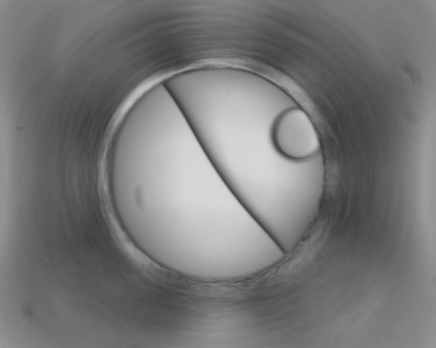 X0000114200955200910091046