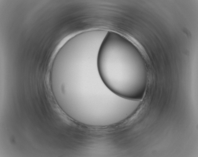 X0000114200956200910091046