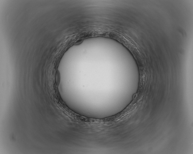 X0000114200961200910091045