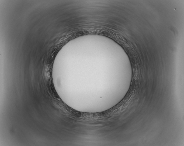 X0000114200962200910091045