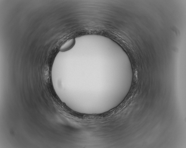 X0000114200963200910091045