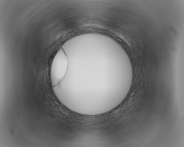 X0000114200965200910091045