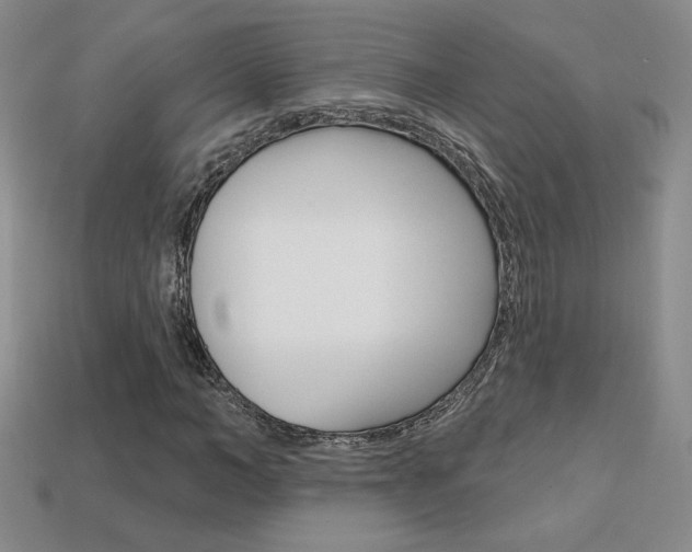 X0000114200966200910091045