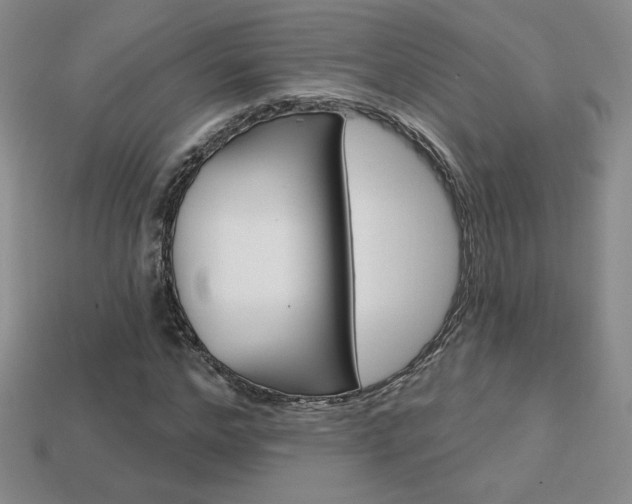 X0000114200968200910091045