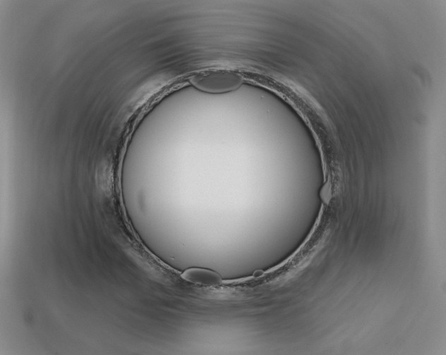 X0000114200969200910091045