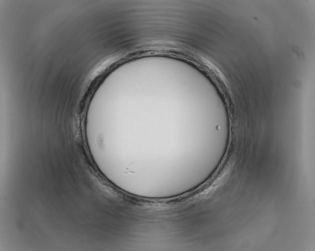 X0000114200970200910091045