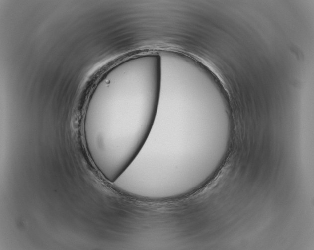X0000114200971200910091045