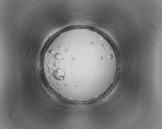 X0000114200974200910091045