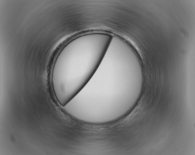 X0000114200975200910091045