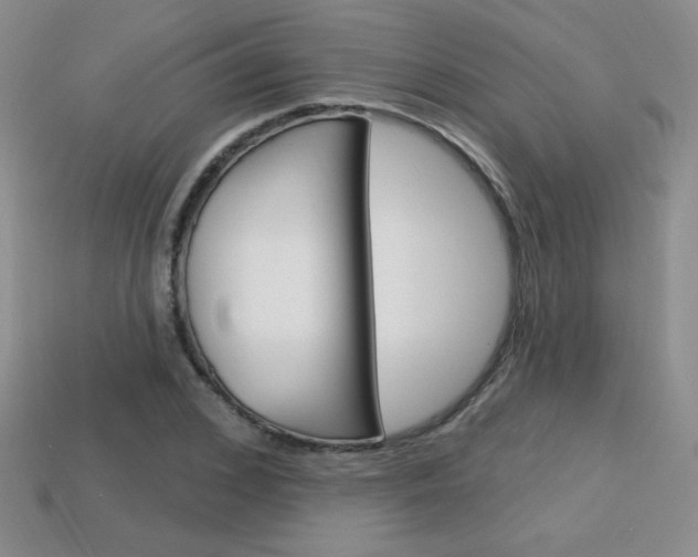 X0000114200976200910091045