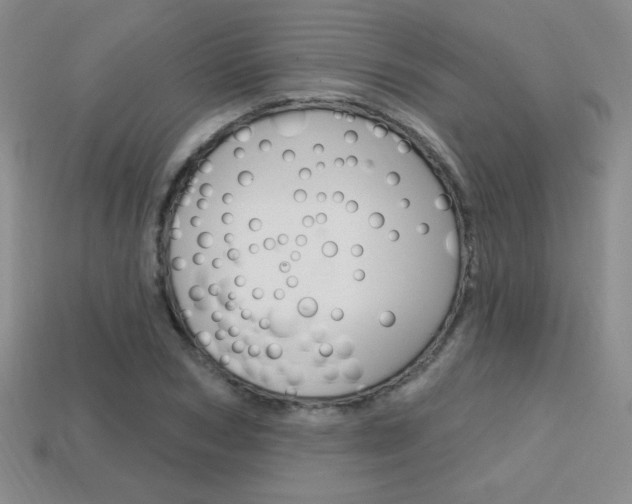 X0000114200978200910091045