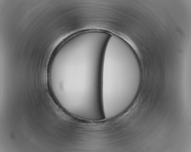 X0000114200980200910091045