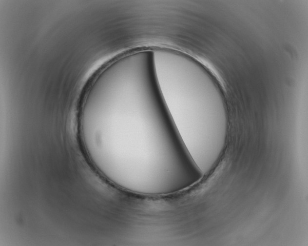X0000114200983200910091045
