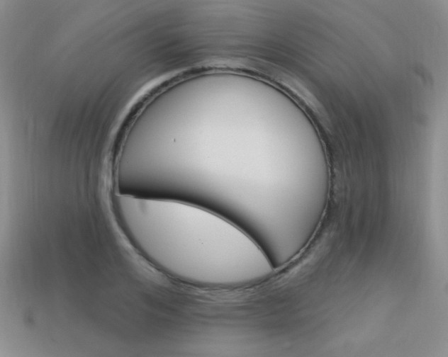X0000114200984200910091045