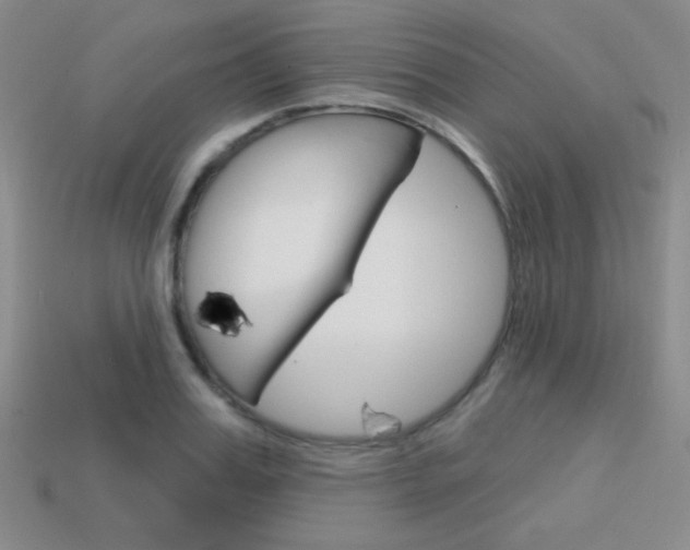 X0000114200987200910091045