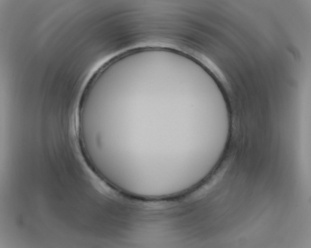 X0000114200988200910091045