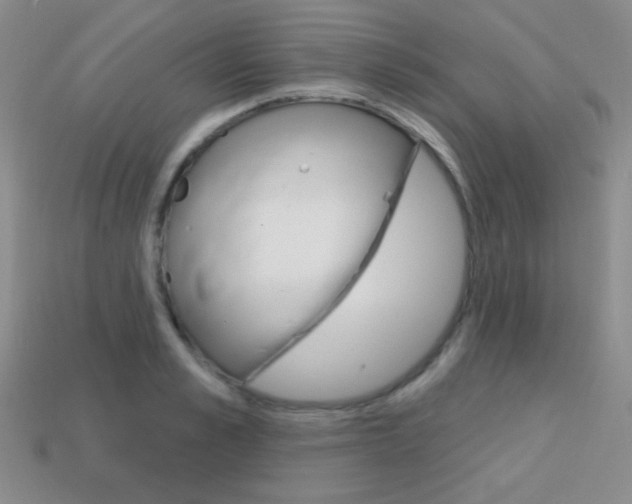 X0000114200989200910091045