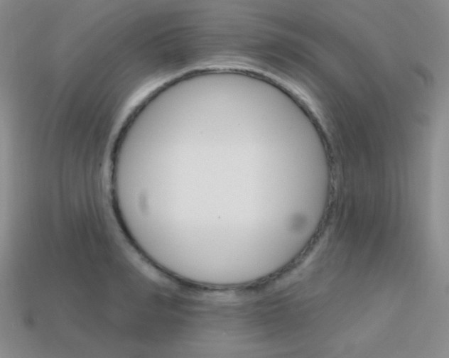 X0000114200990200910091045