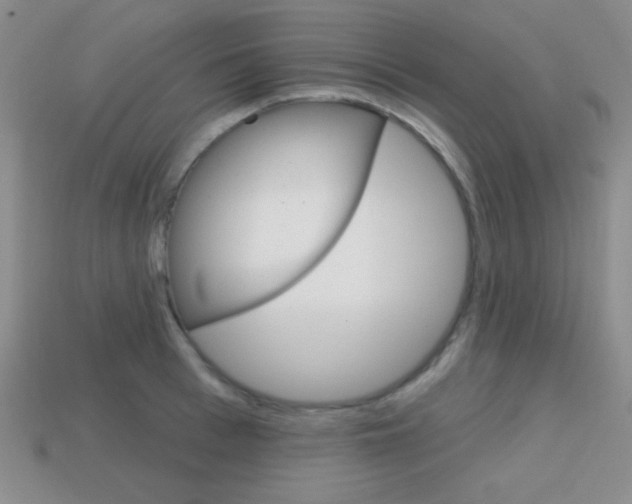 X0000114200993200910091045