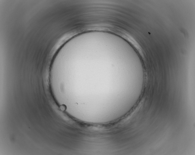 X0000114200994200910091045