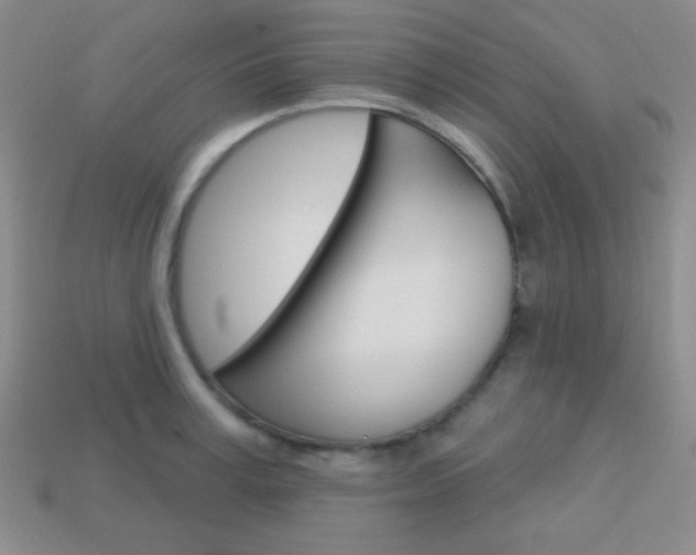 X0000114200995200910091045