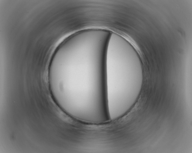 X0000114200996200910091045