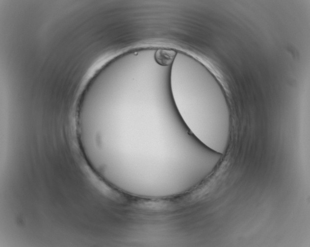 X0000114200998200910091045