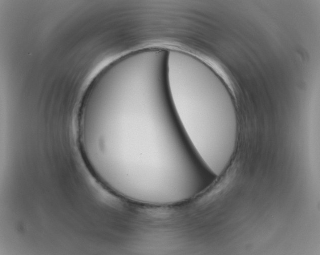 X0000114200999200910091045