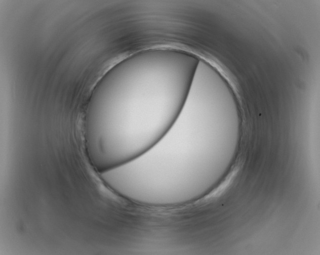 X0000114201001200910091045