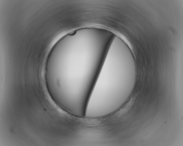 X0000114201007200910091045