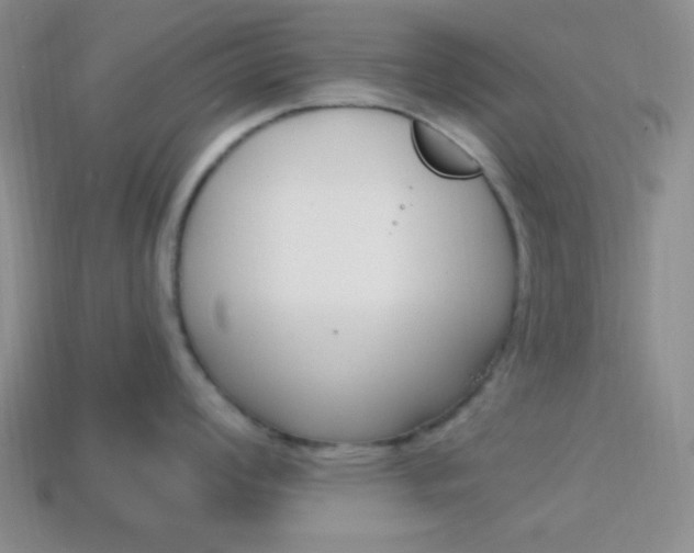 X0000114201008200910091045
