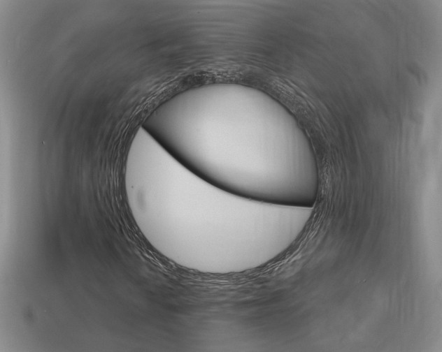 X0000114201010200910091044