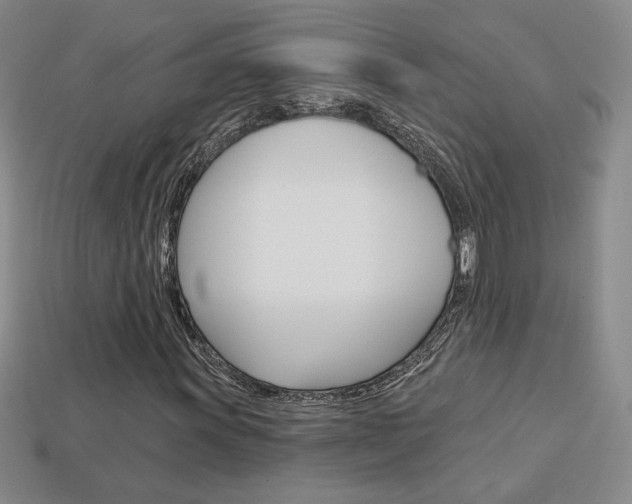 X0000114201011200910091044