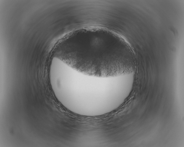 X0000114201016200910091044