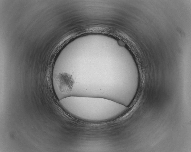 X0000114201017200910091044