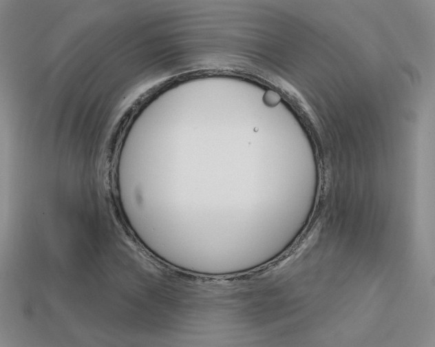X0000114201019200910091044