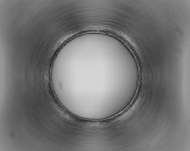 X0000114201025200910091044