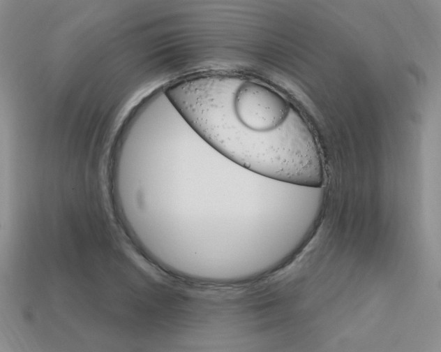 X0000114201026200910091044