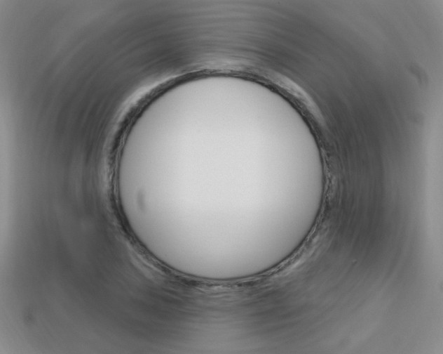 X0000114201027200910091044