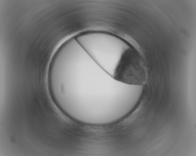 X0000114201028200910091044