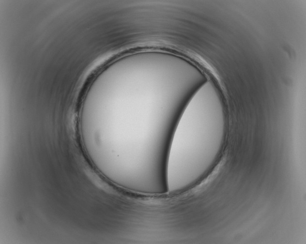 X0000114201029200910091044
