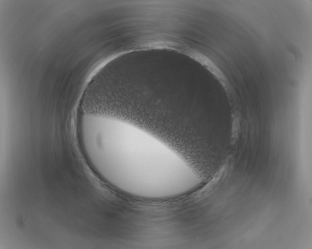 X0000114201031200910091044