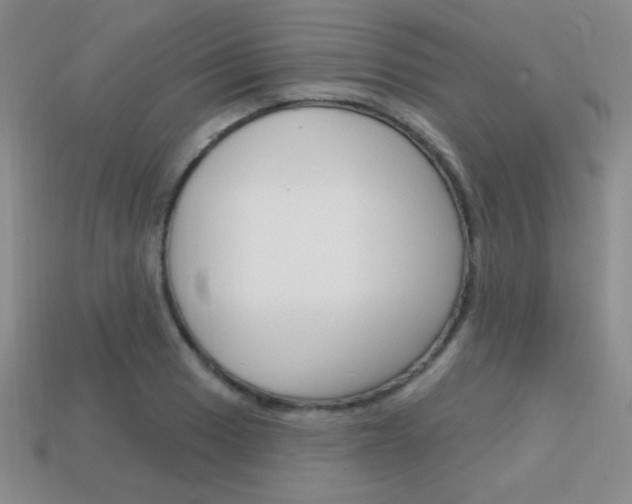 X0000114201033200910091044