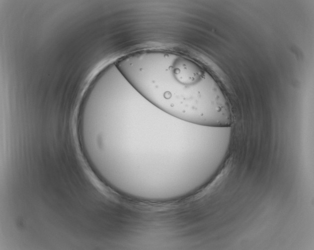 X0000114201034200910091044
