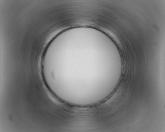 X0000114201039200910091044