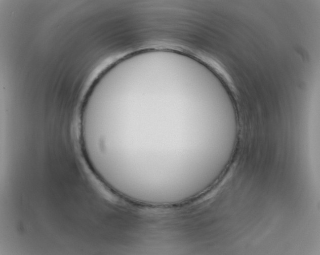 X0000114201040200910091044