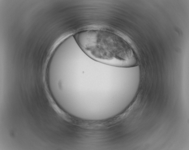 X0000114201042200910091044
