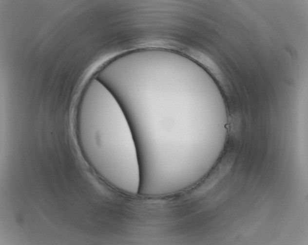X0000114201043200910091044